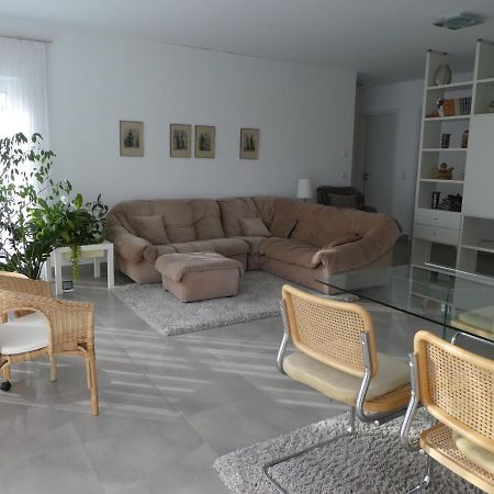 Grosszuegige,Zetrumsnahe Wohnung Dresde Extérieur photo