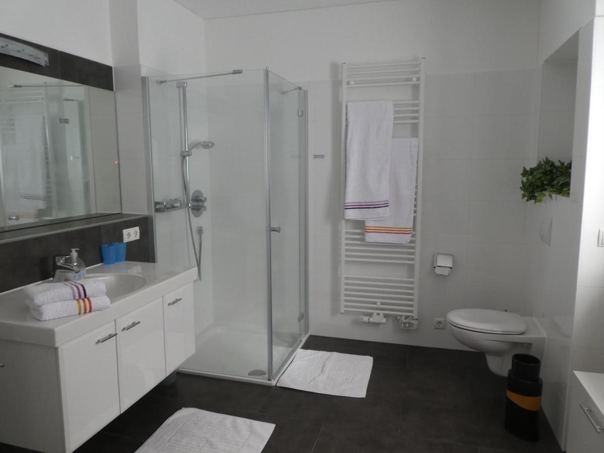 Grosszuegige,Zetrumsnahe Wohnung Dresde Extérieur photo