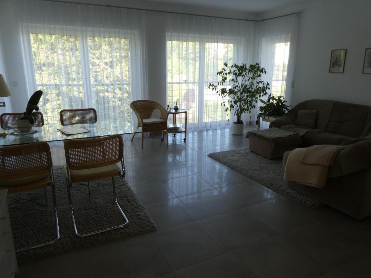 Grosszuegige,Zetrumsnahe Wohnung Dresde Extérieur photo