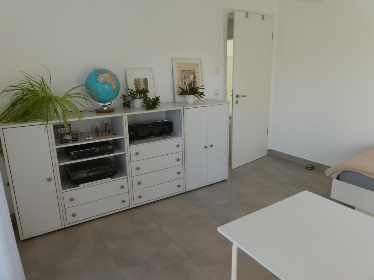 Grosszuegige,Zetrumsnahe Wohnung Dresde Extérieur photo